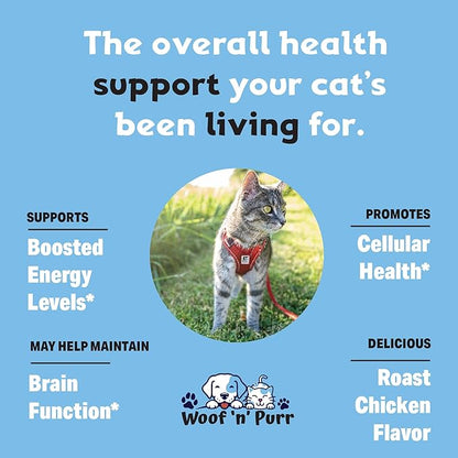 Cat Multivitamin - Promotes Healthy Skin & Coat, Joint Support, Longevity & More - Cat Vitamins - Cat Supplements & Vitamins - Cat Vitamins for Indoor Cats - Kitten Vitamins - Cat Immune Support - 1oz