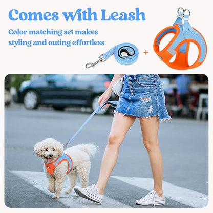 rabbitgoo Dog Harness Small Medium Sized and Leash Set, Step in Soft Light Puppy Vest, Breathable Mesh Pet Harness, Reflective for Safe Easy Walking, Blue & Orange XL