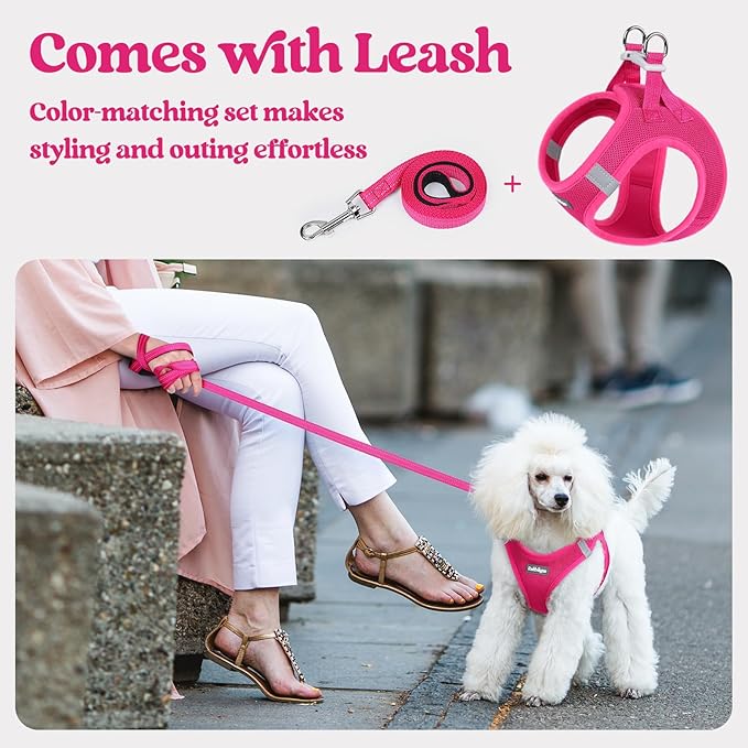 rabbitgoo Dog Harness Small Sized and Leash Set, Step in Soft Light Puppy Vest, Breathable Mesh Pet Harness, Reflective for Safe Easy Walking, Rose Red XXS