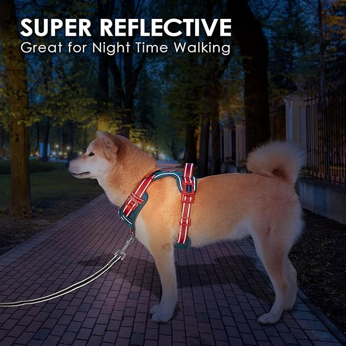 PHOEPET No Pull Dog Harness, Unique Colors Reflective Adjustable Dog Vest, with Soft Training Handle Metal Clips for Small Medium Large Dogs (Teal Base & Red Straps,L)