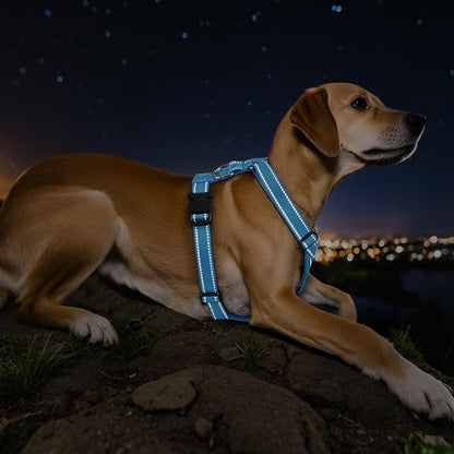 Dog Seat Belt Harness for Car, Dog Car Harness Adjustable Mesh Breathable & Dogs Seatbelt Safety Tether with Elastic Bungee for Small Medium Large Pets(Blue, XL)
