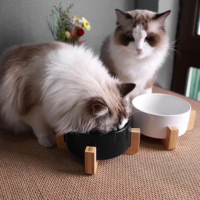 Petygooing Ceramic Dog Cat Bowls Set with Stand,Black Pet Food and Water Bowl,Small Dog Bowls Cute Modern Anti Slip Set of 2 Pet Feeder Small Size Pet Dish(13.5OZ/5.1 in)