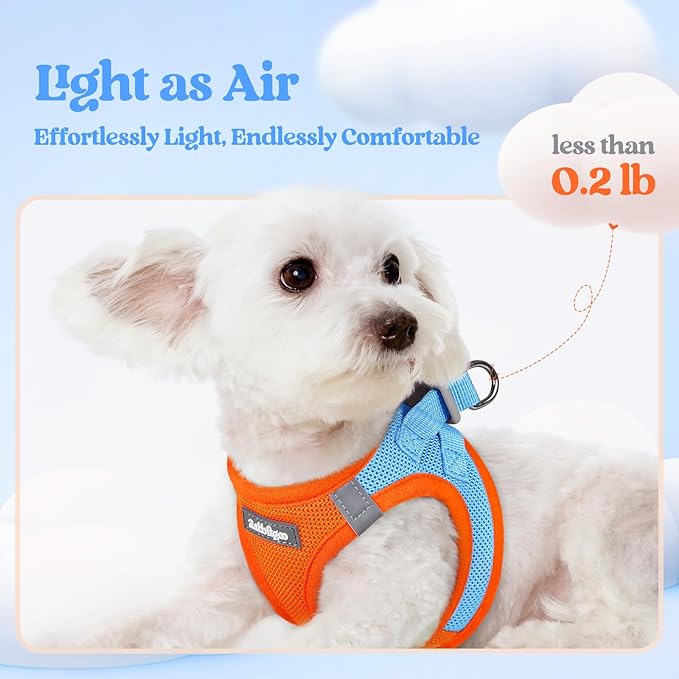 rabbitgoo Dog Harness Small Medium Sized and Leash Set, Step in Soft Light Puppy Vest, Breathable Mesh Pet Harness, Reflective for Safe Easy Walking, Blue & Orange XL
