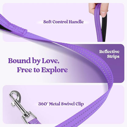 rabbitgoo Dog Harness Small Sized and Leash Set, Step in Soft Light Puppy Vest, Breathable Mesh Pet Harness, Reflective for Safe Outdoor Walking, Purple XS