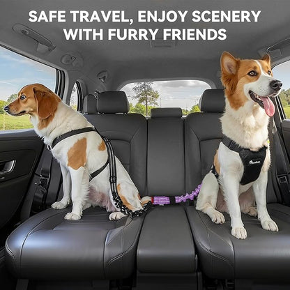 Pawaboo 2Pack Dog Seatbelt for Car, Dog Car Seat Belt Bungee, Shockproof Dog Tether for Car with Buckle & Hook Latch, Adjustable Reflective Dog Car Harness Leash with 360° Lockable Buckle, Purple
