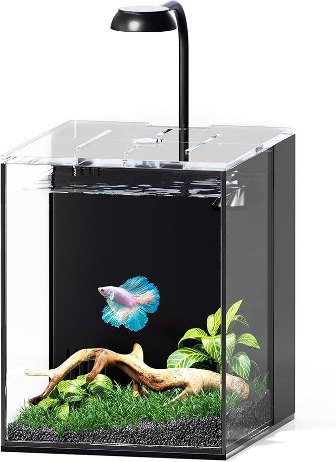 Small Betta Fish Tank Aquarium Starter Kit, 2 Gallon Glass Rimless Nano Beta Tank with Hidden Filtration, 3 Color Light, Quiet Water Pump, Lid