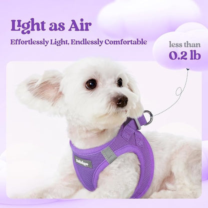 rabbitgoo Dog Harness Small Sized and Leash Set, Step in Soft Light Puppy Vest, Breathable Mesh Pet Harness, Reflective for Safe Outdoor Walking, Purple XS