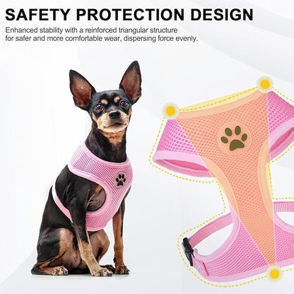 BINGPET Small Dog Harness - Breathable Mesh Puppy Cat Harnesses - No Pull Adjustable Dog Harness Dog Vest Harness for Small and Medium Dogs