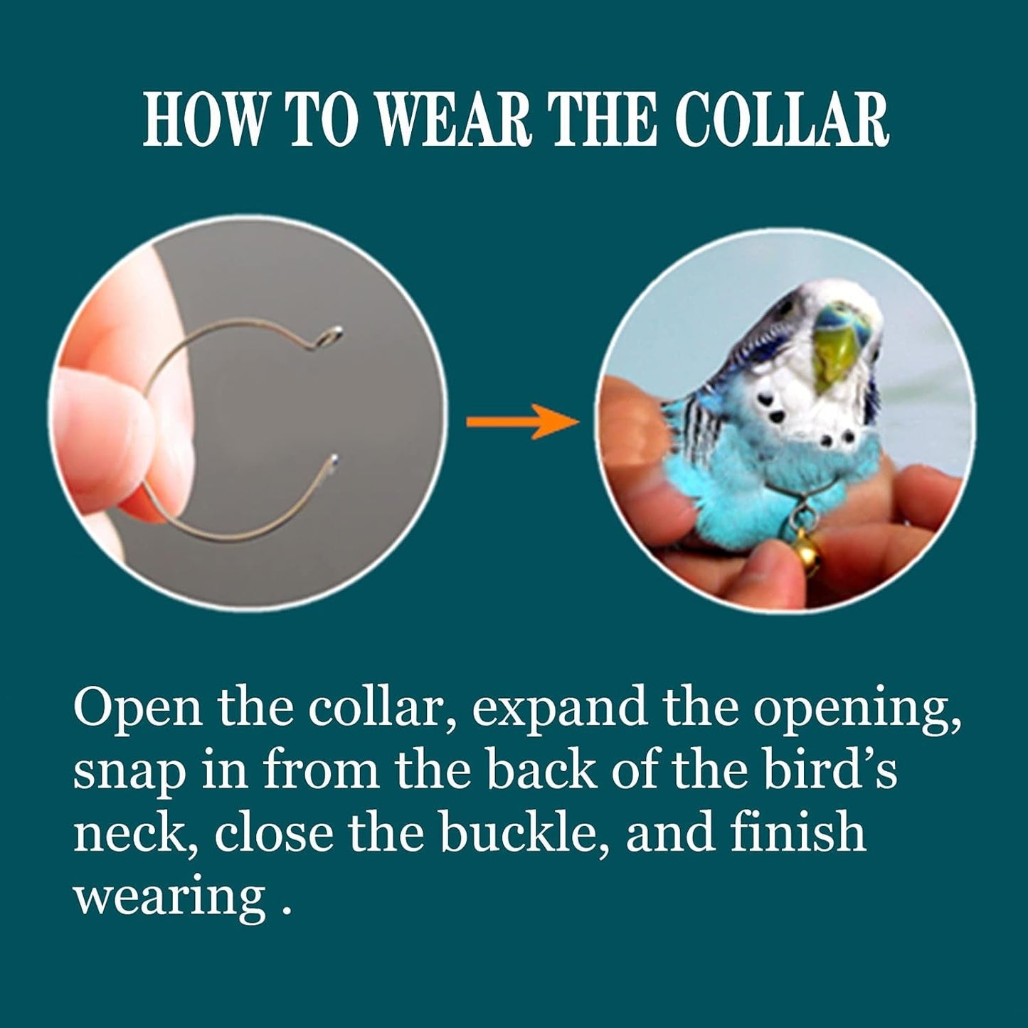 Parrot Bells Parrot Collar Necklace Parrot Decoration Parrot Scarf Clothes Budgerigar Peony Parrot Cockatiel Golden Sun Parrot