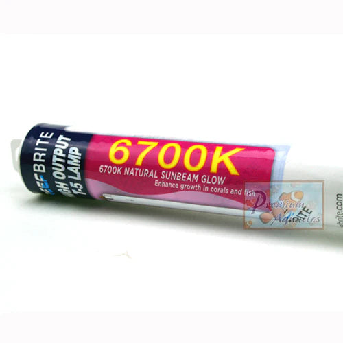 Reef Brite T5 HO 6700K