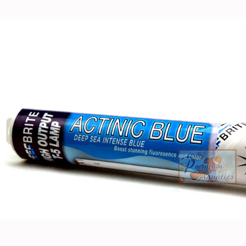 Reef Brite T5 HO Actinic