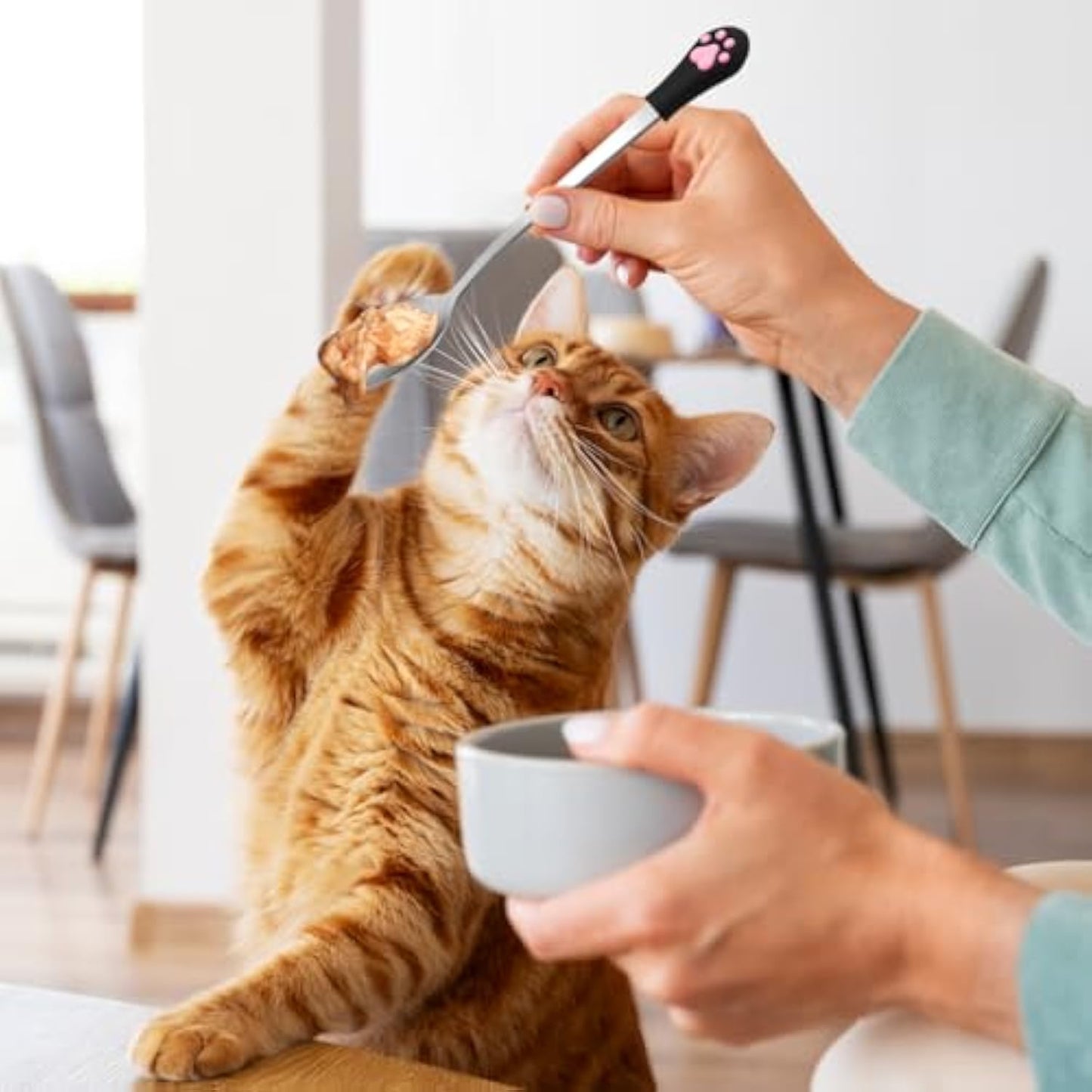 2 Pcs Dog Cat Spoon Pet Can Spoon Stainless Steel Cat Claw Spoon Cat Spoons For Wet Food Long Handle Cat Food Scoop Pet Feeder Spoon For Dog And Cat Food Can White And Black