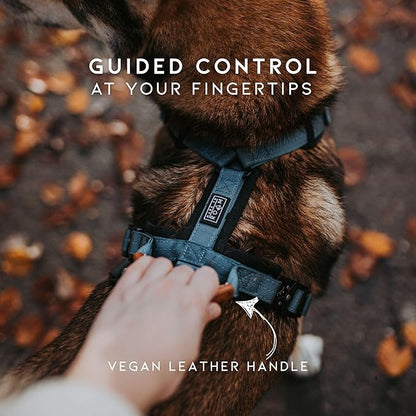 MADE TO ROAM Premium Explorer Harness - Y-Shaped Dog Harness with Adjustable Durable Nylon, Soft Padding, Metal Buckles and Leather Handle for Small, Medium, Large Dogs (Utah Glow, Size 4)