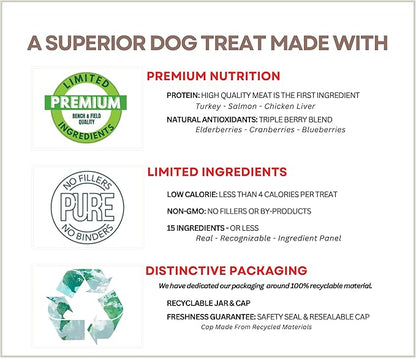 Bench & Field Holistic Natural Salmon & Triple Berry Dog Treats | Crunchy Bone-Shaped Bites | Antioxidant Blend, 10-Ounce Bottle