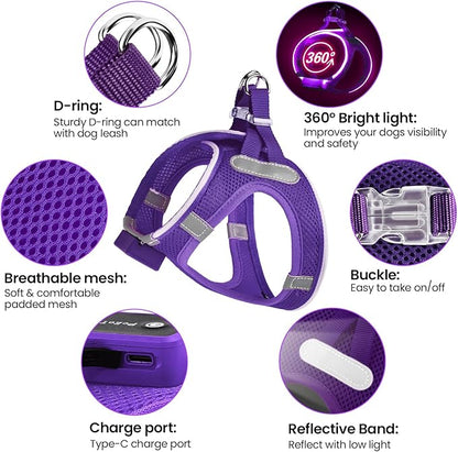 PceoTllar Light Up Dog Harness, LED No Pull Reflective Dog Harness, Flashing Lighted for Night Walking - Small/Medium, (Purple,L)