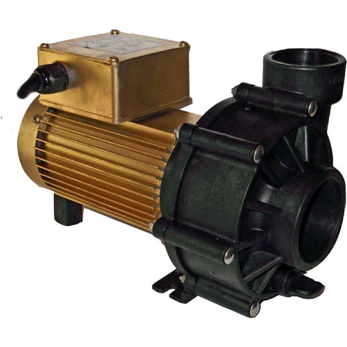 GOLD - Dart/Snapper Hybrid