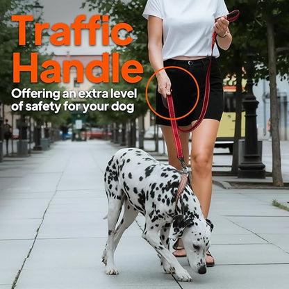 TwoEar 6FT 1IN Strong Blue Dog Leash with 2 Padded Handles, Traffic Handle Extra Control, Comfortable Soft Dual Handle, Auto Lock Hook, Reflective Walking Lead for Small Medium and Large Dogs
