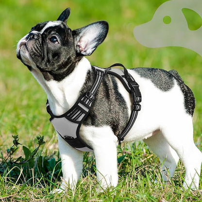 Eagloo Dog Harness Small Sized Dog, No Pull Service Vest with Reflective Strips and Control Handle, Adjustable and Comfortable for Easy Walking, No Choke Pet Harness with 2 Metal Rings, Grey, S