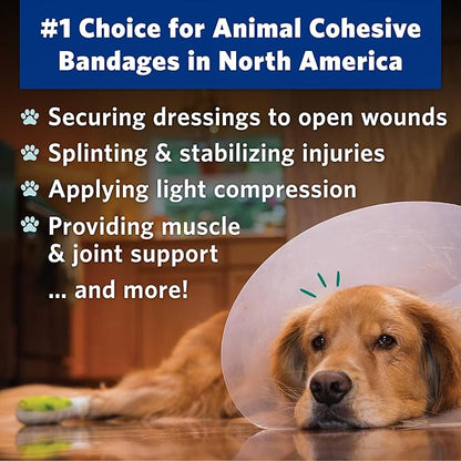 PetFlex No Chew – Flexible Self-Adhering Elastic Bandage for Wound Care – First Aid Wrap for Small Animals Like Dogs, Cats, and Other Pets - 2 inch, 6 Rolls