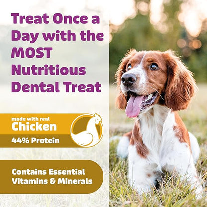 Dog Dental Treats – Vet VOHC Approved – Delicious Chicken Protein – Removes Tartar with Cleaning Comb Shape – Dental Dog Treats for Extra Large Dogs (12oz, 6 Count)