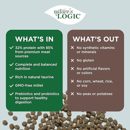 NATURE'S LOGIC Dry Dog Food - 100% Natural - No Synthetics - for All Ages, Sizes, Breeds - Free from Common Allergens, High Protein - Lamb Meal Feast, 13lbs