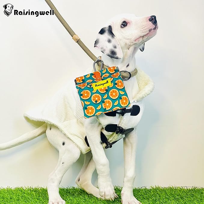 Dog Treat Pouch,Cotton Pocket Sized Training Holder, Hand Free Walking Funny Bag with Carabiner, Self-Closing Pet Feed Snack Reward, Behavior Aids for Puppy Travel or Outdoor Use（Fruit Orange）