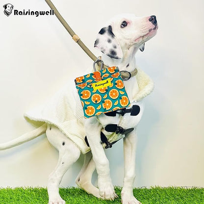 Dog Treat Pouch,Cotton Pocket Sized Training Holder, Hand Free Walking Funny Bag with Carabiner, Self-Closing Pet Feed Snack Reward, Behavior Aids for Puppy Travel or Outdoor Use（Fruit Orange）