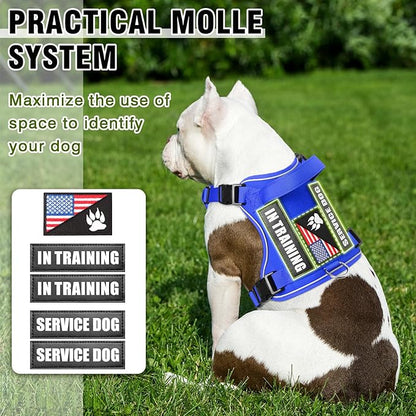 WINSEE Service Dog in Training Harness with 5 PCS Patches, Reflective Tactical Dog Vest Harness, Adjustable Soft Oxford Pet Harness with Easy Control Handle, Hook & Loop Panels for Walking Hiking