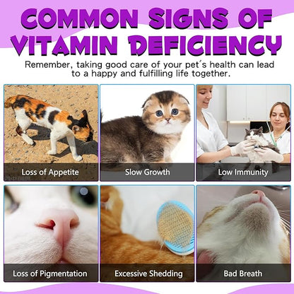 2PCS Liquid Multivitamin for Cat, 15 in 1 Cats Multivitamin Liquid Drops Supplements for Skin & Coat, Heart Health, Bones and Joint, Cat Vitamins with Glucosamine and MSM, Immune System Support