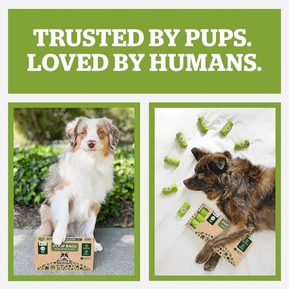 Pogi's Compostable Poop Bags – Leak-Proof, Extra-Large, Made with Plants – 32 Rolls (480 Bags)