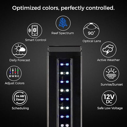 CURRENT USA 18-24" Inch Orbit Marine IC Loop LED Saltwater Reef Marine Aquarium Light with Bluetooth App Control | Wireless Lighting & eFlux Wave Pump Control for Fish Tank (4204)