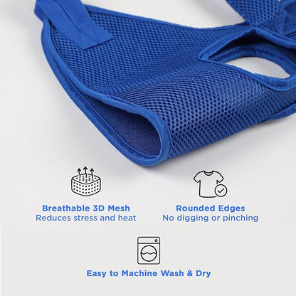 Pet Grooming Hammock for Cats & Small Dogs – Nail Clipping Kit with Sling, Clippers, File, Glove, Straps & Carabiners – Ideal for Trimming & Ear Cleaning – [S/XS] (Black, Small)
