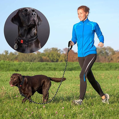 Heavy Duty Dog Leash - Comfortable Padded Handle, 5 ft Long - Dog Leashes for Small Medium Large Dogs (Leash+Collar XS Neck 10.5"-13.5", Black)