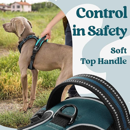 rabbitgoo Dog Harness Medium Sized, No Pull Pet Harness with 3 Buckles, Adjustable Soft Padded Vest with Control Handle, Walking Reflective Pet Vest for Medium Dogs, Blue Coral, M