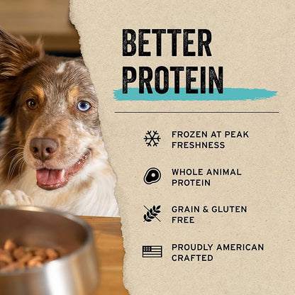 Vital Essentials Minnows Dog Treats, 1 oz | Freeze-Dried Raw | Single Ingredient | Premium Quality High Protein Training Treats | Grain Free, Gluten Free, Filler Free