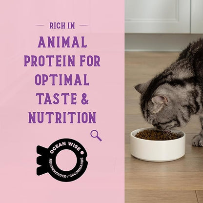 Open Farm Goodbowl, Protein Rich Dry Cat Food Made from Meticulously Sourced Simple Ingredients, Wild-Caught Salmon & Brown Rice Recipe, 7lb Bag (112oz Bag)