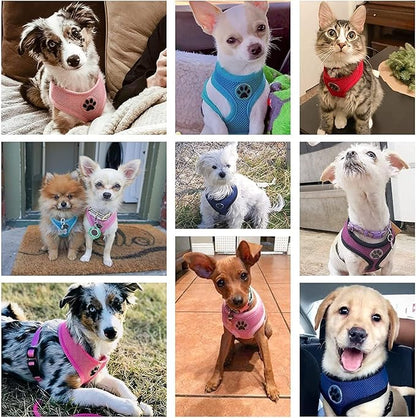 BINGPET No Pull Dog Harness for Small Medium Dogs,All Weather Mesh Step in Vest Harness for Small Dogs,Breathable Mesh Puppy Cat Harnesses,Step-in Air Dog Harness for for Small Dogs,Red,Small
