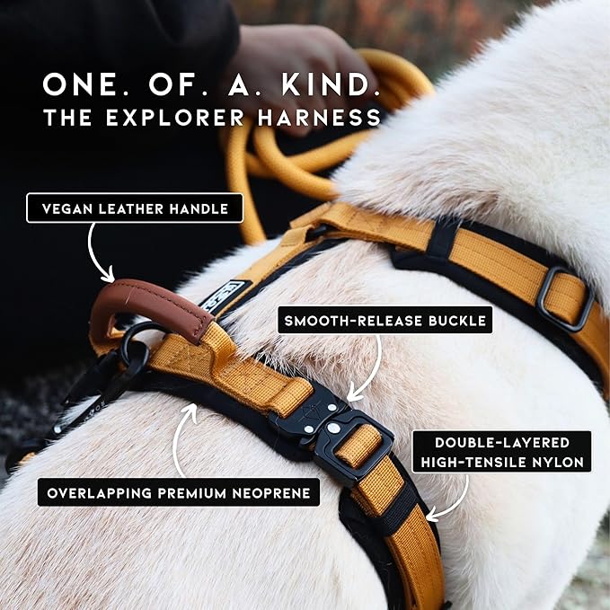 MADE TO ROAM Premium Explorer Harness - Y-Shaped Dog Harness with Adjustable Durable Nylon, Soft Padding, Metal Buckles and Leather Handle for Small, Medium, Large Dogs (Washington Rain, Size 1)