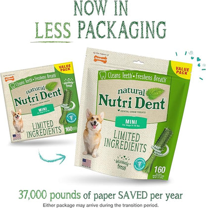 Nylabone Nutri Dent Dog Dental Chews - Natural Dog Teeth Cleaning & Breath Freshener - Dental Treats for Dogs - Fresh Breath Flavor, Mini (160 Count)