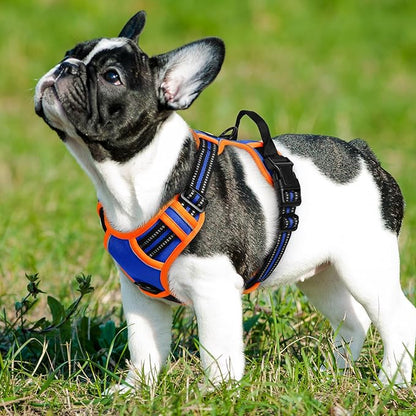 Eagloo Dog Harness Small Sized Dog, No Pull Service Vest with Reflective Strips and Control Handle, Adjustable and Comfortable for Walking, No Choke Pet Harness with 2 Metal Rings, Blue & Orange, S