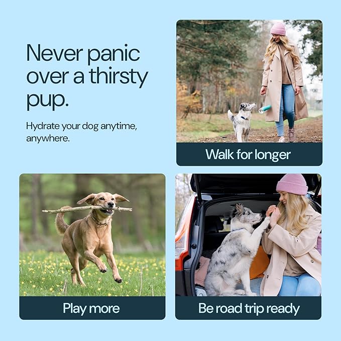 MalsiPree Insulated Dog Water Bottle - 24 Oz, Pink - Leak-Proof Stainless Steel Portable Travel Dispenser & Bowl