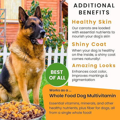Olewo Original Carrots for Dogs – Fiber for Perfect Poop, Dehydrated Dog Food Toppers for Picky Eaters, Natural Skin & Coat Support, Multivitamin, Probiotics for Digestive & Gut Health, 1 lb