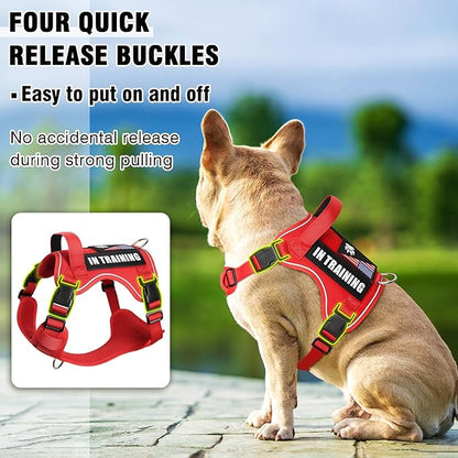 WINSEE Service Dog in Training Harness with 5 PCS Patches, Reflective Tactical Dog Vest Harness, Adjustable Soft Oxford Pet Harness with Easy Control Handle, Hook & Loop Panels for Walking Hiking