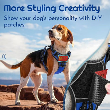 Eagloo Dog Harness for Large Dogs, Easy Wearing with 3 Buckles, Adjustable No Pull Pet Harness with 2 Rings for Walking, No Chock Reflective Soft Padded Vest with Control Handle, Blue & Black, XL