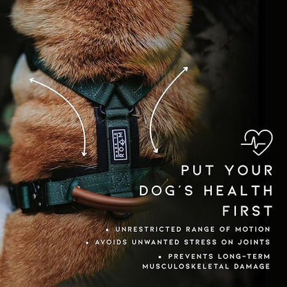MADE TO ROAM Premium Explorer Harness - Y-Shaped Dog Harness with Adjustable Durable Nylon, Soft Padding, Metal Buckles and Leather Handle for Small, Medium, Large Dogs (Virginia Mountains, Size 6)