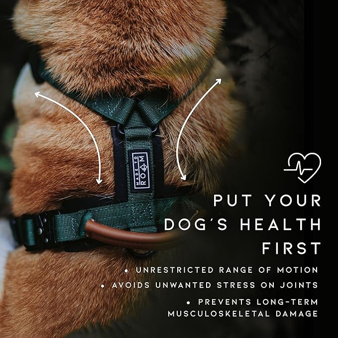 MADE TO ROAM Premium Explorer Harness - Y-Shaped Dog Harness with Adjustable Durable Nylon, Soft Padding, Metal Buckles and Leather Handle for Small, Medium, Large Dogs (Virginia Mountains, Size 5)