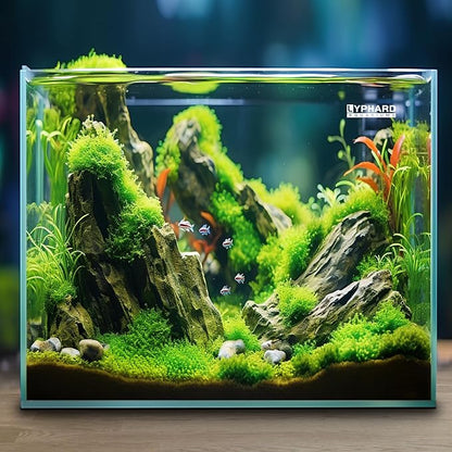 33 Gallon Cube Rimless Aquarium, Ultra Clear Low Iron Large Fish Tank, L19.7×W19.7×H19.7 Glass Thickness 8mm with EVA Foam Leveling Mat