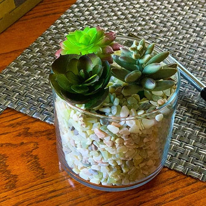 7lb Jade Bean Pebbles,1/4 Inch Cactus Bonsai DIY Rocks, Natural Succulent Rock and River Rocks Decorative for Aquariums, Vases, Terrarium, Outdoor Gardening, Top Dressing for Potted Plants