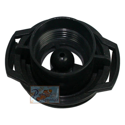 Sedra Volute with O'ring