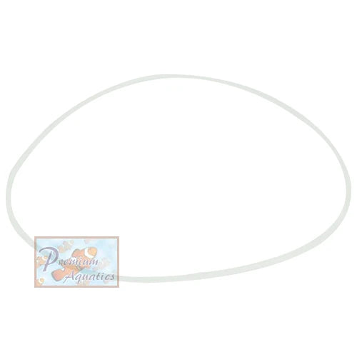 ASM Replacement G5 Body O-RING